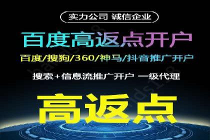 百度竞价排名策略优化：某公司广告投放效果翻倍的秘诀